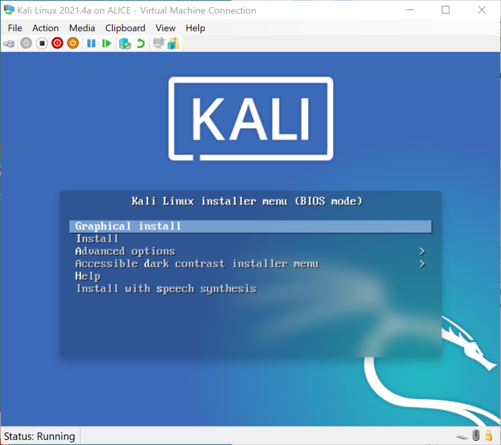 Kali Install Options