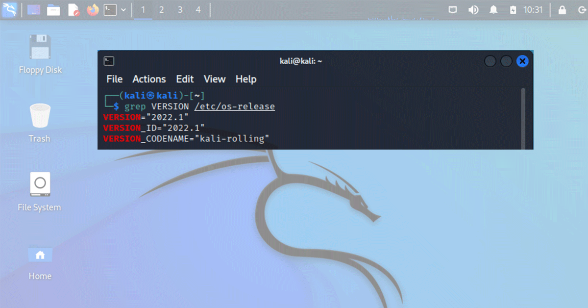 updating kali linux vm 2022.1